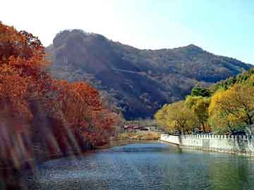 新澳天天开奖资料大全旅游团，傲虎论坛